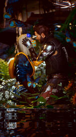 ButterflyGarden